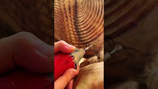 Rotary bit grinds dust fine, crisp rhythm of morning wood sculpting craft