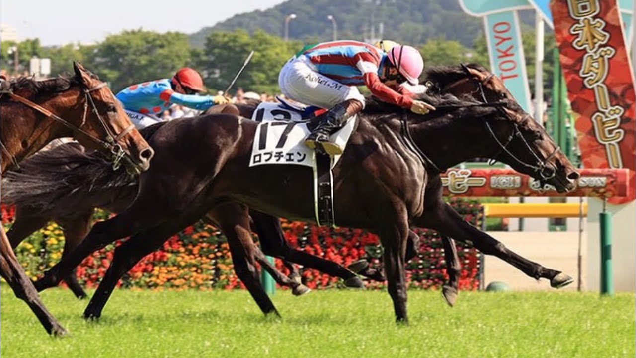 TRIPLE CROWN DREAM IN JAPAN!🇯🇵 LOVCEN wins the 2026 Tokyo Yushun
