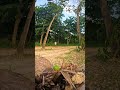 Satisfying Can Hit Slinging #bushcraft #shootingrange #nature #slinging #slinglife #sling