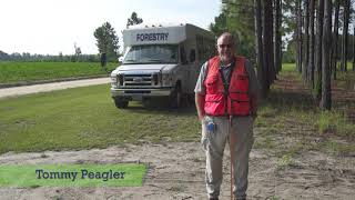 Tommy Peagler-Timber Cruising Tutorial