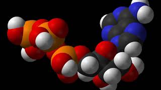 Chemolithotrophy | Wikipedia audio article