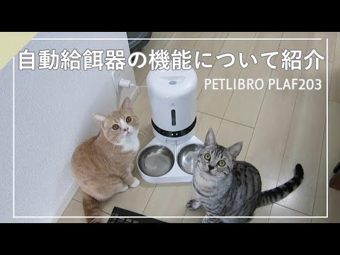 自動給餌器【PETLIBRO】の機能を紹介。アプリで簡単操作可能。 - YouTube