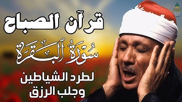 راحة نفسية 4 ساعات كلهم راحة ♥️ وايات تذهب بك الى عالم الهدوء والسكينة القارئ عبد الباسط عبد الصمد