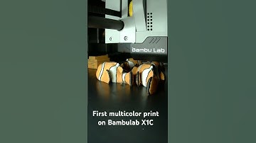 Bambulab multicolor - First try