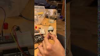 IMG 3725