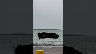 Beach vibes bahrain #seasideview #beachvibes #coastallife #oceanescape #foryoupage