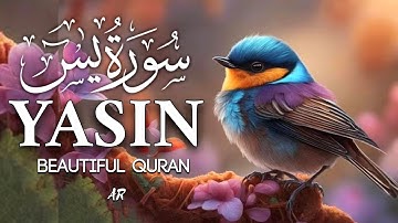 Surah Yasin (Yaseen) سورة يس Relaxing Heart Stealing Majestic Voice | @islamicvideos.a.r