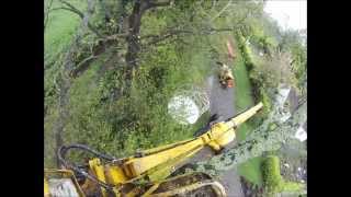 treemankyle pruning oaks from an old cherrypicker