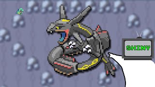 This Bot Hunts For Shiny Pokémon AUTOMATICALLY screenshot 4