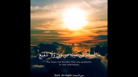 حالات واتس اب دينيه سورة السجدة