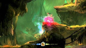 Ori and The Blind Forest-Let