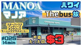 ハワイ THE BUSを使ってマノアに行ってきました🚌[025]片道３ドルで気軽に楽しく過ごしてきました☺️#ハワイ #ハワイ旅行 #ハワイ情報 #マノア