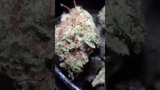STRAWBERRY MIMOSA #SLAPPER #420 @cjwilldoit