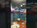 Семейное видео из Анапского ресторана. Эксклюзив.