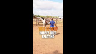 Why Your Horse Keeps Bucking