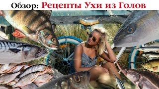 ТОП-5 рецептов Ухи Из Рыбьих Голов от Мужа Кухарки. Выпуск 11