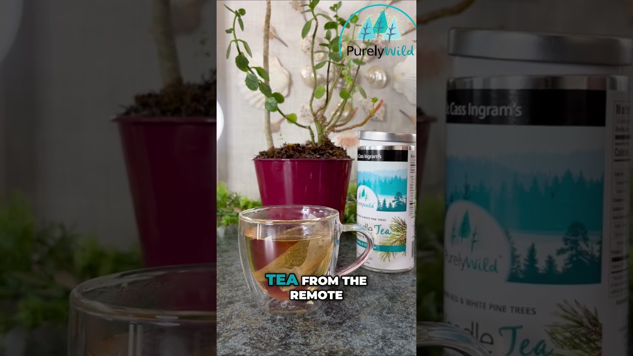 Pine Needle Tea: Dr. Ingram's Forest Remedy Unveiled! 