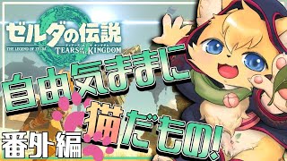 【#ゼルダの伝説ティアーズオブザキングダム 】自由奔放勇者(猫)の大冒険🐱🏹#番外編【#vtuber 】＃furry #ケモノvtuber