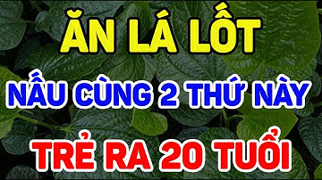 ĂN LÁ LỐT VỚI THỨ NÀY 👉CÔ CHÚ ĐAU NHỨC XƯƠNG KHỚP KHI TRỜI LẠNH: CÁCH DÙNG LÁ LỐT ĐÚNG.