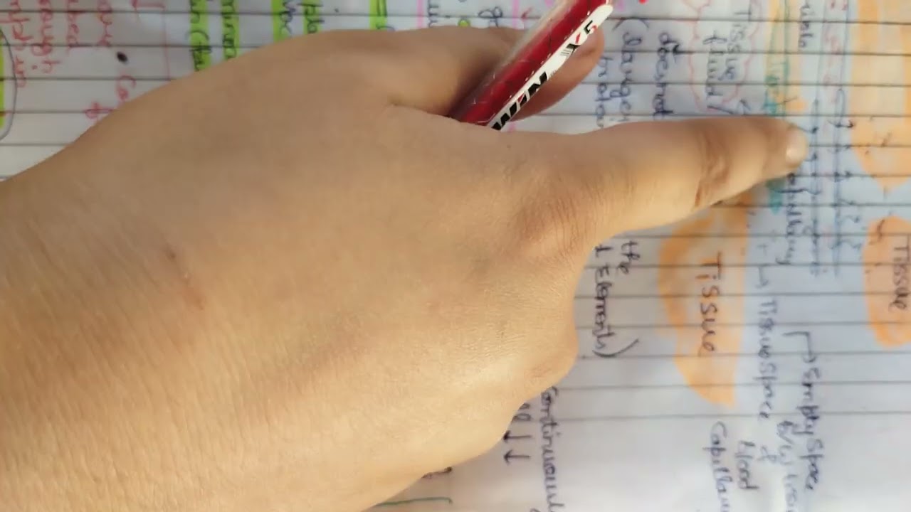 Lymph ( tissue fluid )