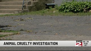 Rome Police Department Investigates Animal Cruelty Report