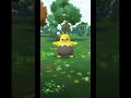 #pokemon #pokemongo #dutch #event #viralvideo #pokemontrainer