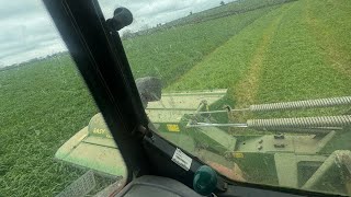 silage 2026 is A Go Here in The South West England