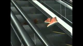 Download lagu Globaltv La Lights