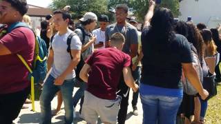 Sr Walk Out UHS 2017