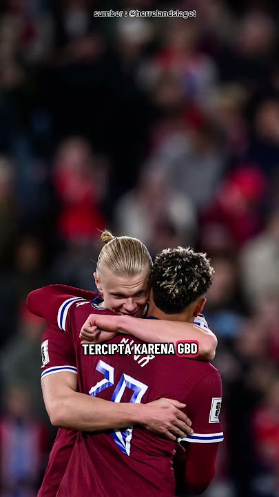 W Norway 🇳🇴 dan Palestine 🇵🇸 #norway  #freepalestine #pialadunia