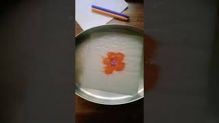 Creative Art 🎨🌸🌸#youtubeshorts #satisfying #art #shorts #magic #flower