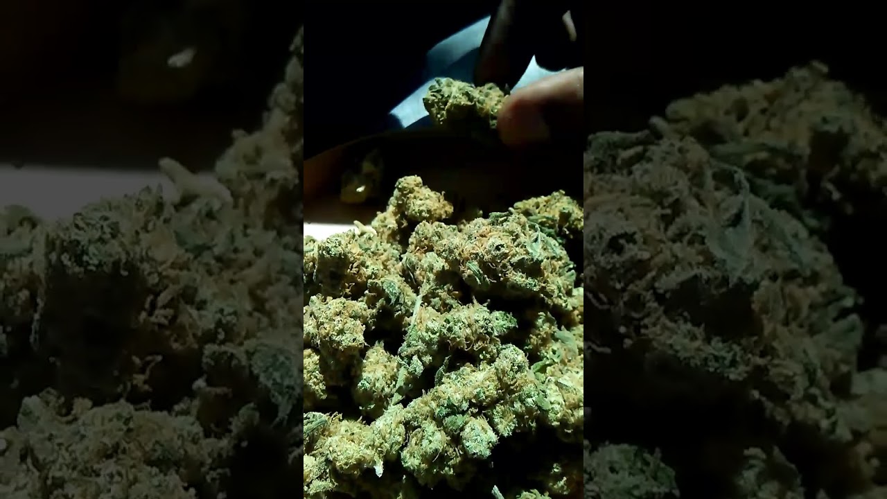 Frost Boss 420 Marijuana