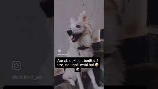 From Baby Paws To Full-Time Drama Queen