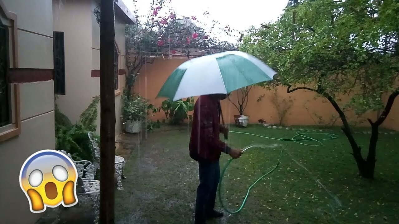 Chico Riega Pasto Mientra Llueve camera iphone 8 plus apk