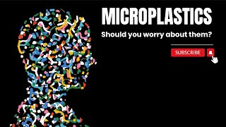 Microplastics in Human Bodies | How They Impact Health