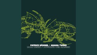Aufstand der Massen - Adana Twins