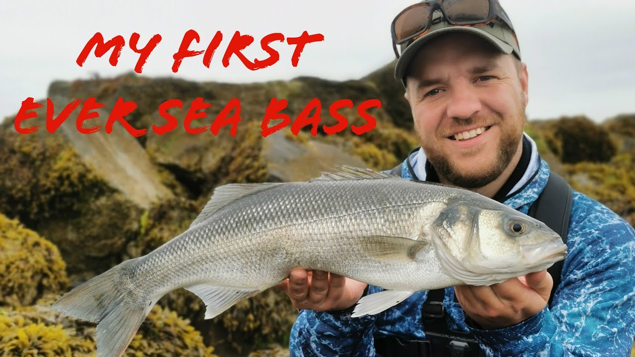Sea Bass fishing in Ireland, My first ever! 