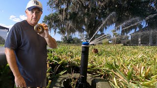 The Villages Florida Donuts and Sprinklers