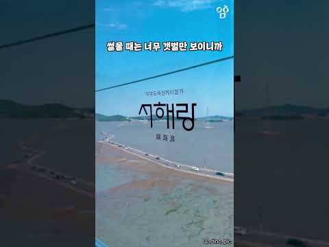 이번 여름에 이거 타러 가야함ㄷㄷ 국내 오션뷰 액티비티 TOP5