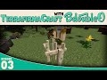 Minecraft Terrafirmacraft Better Than Microblocks!!!
