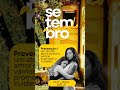 SETEMBRO AMARELO.          #trend #status #viralvideo