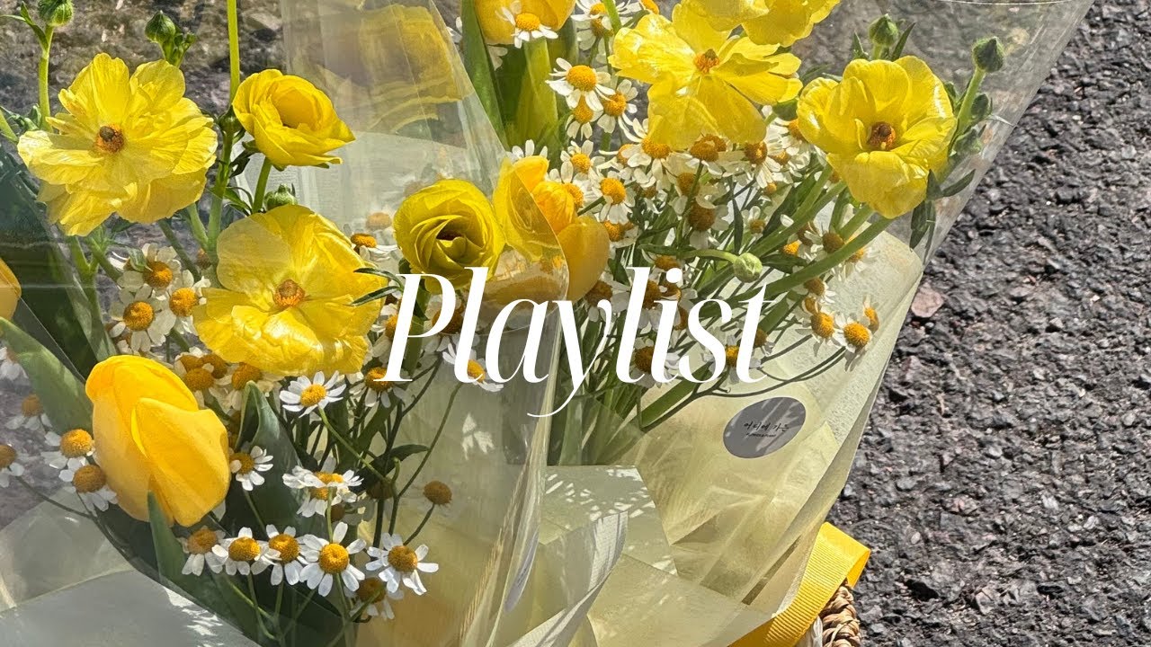 playlist | 손님들이 항상 노래 제목 물어보게 되는 카페 감성 노래들