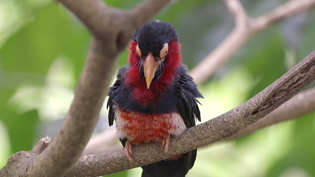 Nature / Calm / Relax