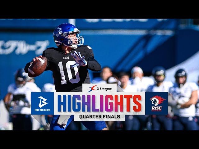 IBM Bigblue 低 アメフト ヘルメット サイズL 