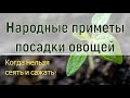 НАРОДНЫЕ ПРИМЕТЫ ПОСАДКИ ОВОЩЕЙ