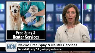 NCN Highlight - NevCo Free Spay & Neuter Services