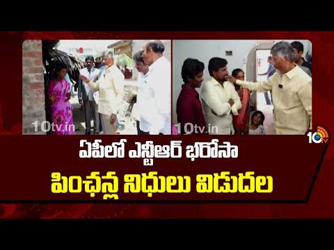 ఏపీలో ఎన్టీఆర్ భరోసా పింఛన్ల నిధులు విడుదల | NTR Bharosa pension funds released in AP|10tv