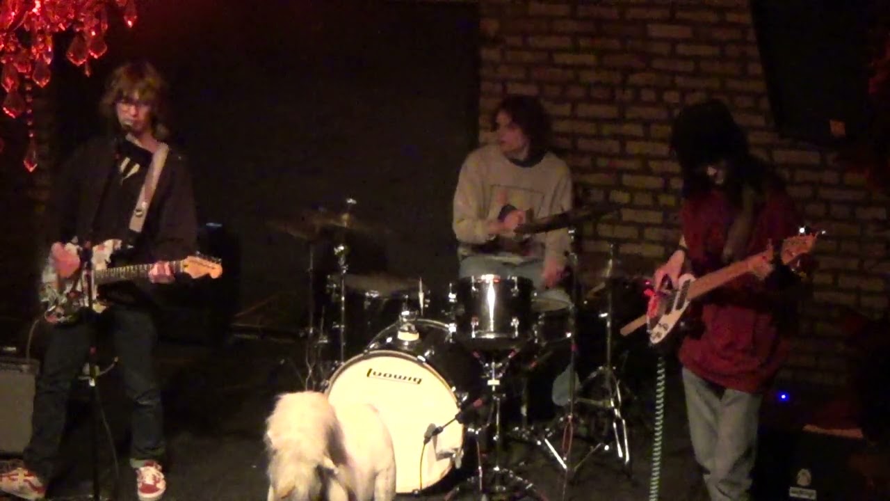 Superfun - Live at the Fallen Log - 04/17/25