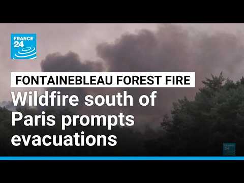 Nearly 1,000 hectares burnt in fire near Paris • FRANCE 24 English