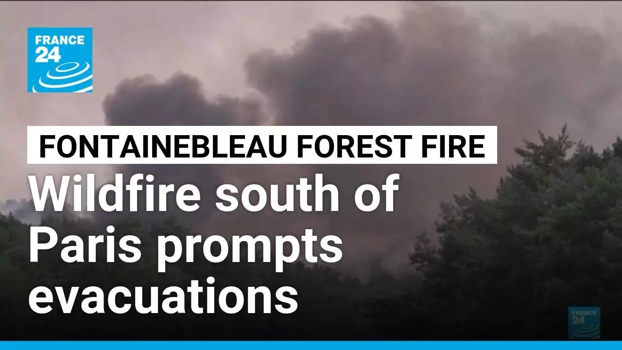 Nearly 1,000 hectares burnt in fire near Paris • FRANCE 24 English